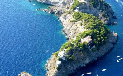 Island of the Blue Dolphins – 4th Grade Project