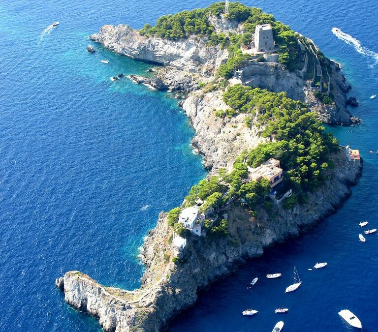 Island of the Blue Dolphins – 4th Grade Project
